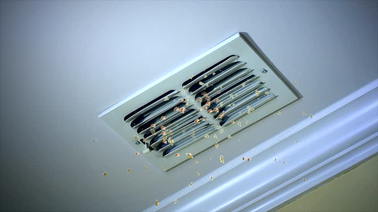 Best Duct Cleaning for Homes  in Eatonville, WA