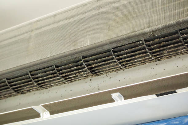 Best Air Duct Cleaning Company Near Me  in Eatonville, WA
